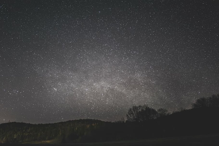 黑暗，自然，夜晚，天空，星星，树木，星星-空间，天文学
