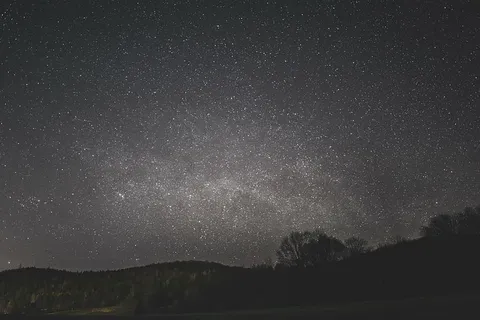 黑暗,自然,夜晚,天空,星星,树木,星星-空间,天文学 黑暗,自然,夜晚,天空,星星,树木,星星-空间,天文学