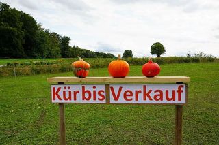 南瓜，出售，秋天，夏天，吃，汤，蛋糕，食物