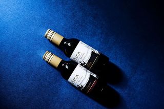 蓝色表面上有两个黑色玻璃瓶