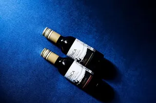 蓝色表面上有两个黑色玻璃瓶