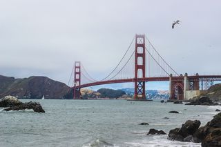 美国, 旧金山, 贝克海滩, 雾, 海鸥, 贝克海滩, 金门大桥, 旧金山