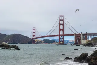 美国, 旧金山, 贝克海滩, 雾, 海鸥, 贝克海滩, 金门大桥, 旧金山