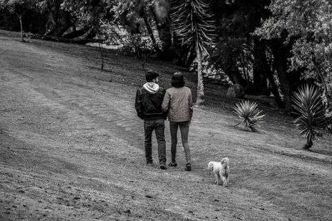 人，公园，黑白，自然，哺乳动物，家养，单一动物，狗