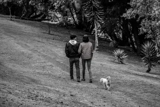 人，公园，黑白，自然，哺乳动物，家养，单一动物，狗