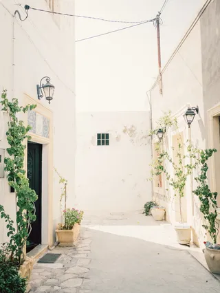 建筑物旁狭窄通道附近的盆栽绿叶植物