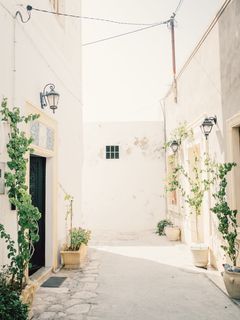 建筑物旁狭窄通道附近的盆栽绿叶植物 建筑物旁狭窄通道附近的盆栽绿叶植物