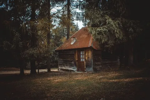 森林中的木屋 森林中的木屋