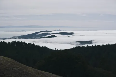 美国, 马林县, 森林, 自然, 山, 爬上, 城市, 天际线