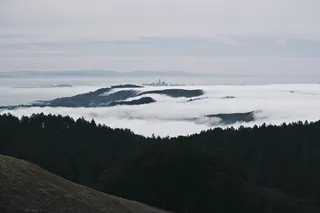 美国, 马林县, 森林, 自然, 山, 爬上, 城市, 天际线