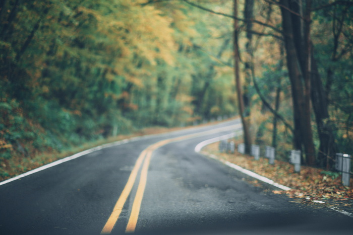 树间柏油路
