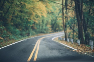树间柏油路