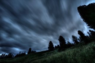 灰色云层下树木的剪影照片