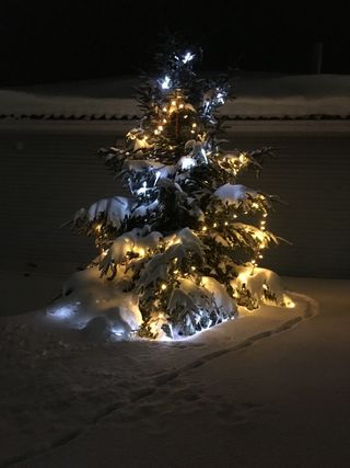 圣诞节, 照明, 庆典, 夜, 没有人, 假日, 圣诞装饰, 圣诞彩灯