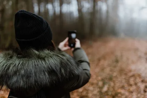 秋天在雾天向森林走去