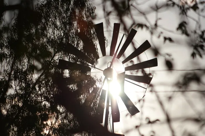 weathervane，sol，sertao，巴西，tree，可再生能源，低角度视图，plant