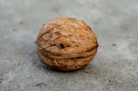 核桃，希腊，营养，食品，水果，健康，食品和饮料，特写