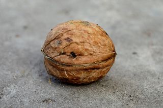 核桃，希腊，营养，食品，水果，健康，食品和饮料，特写