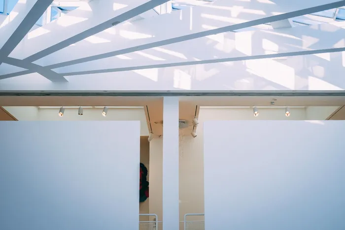 摘要：建筑，建筑，屋顶，天花板，建筑结构，低视角，白天