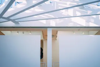 摘要：建筑，建筑，屋顶，天花板，建筑结构，低视角，白天