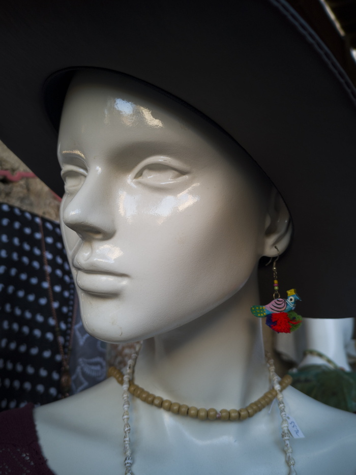 模特、人体模型、时装、姿势、服装、风格、流派、展示