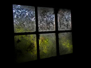 窗户，玻璃材质，无人，室内，透明，建筑，自然，白天