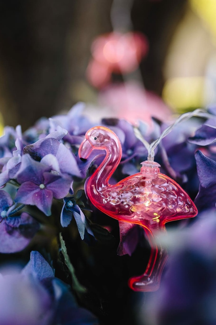 火烈鸟淡花环和粉色花朵