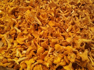 香菇，市场，香菇，鸡蛋海绵，蘑菇，食用，食品，蘑菇