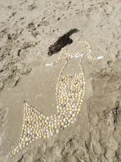 海滩上的米色海蛤美人鱼 海滩上的米色海蛤美人鱼