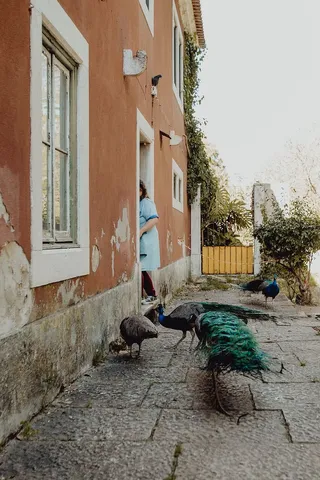 葡萄牙里斯本贝伦热带植物园