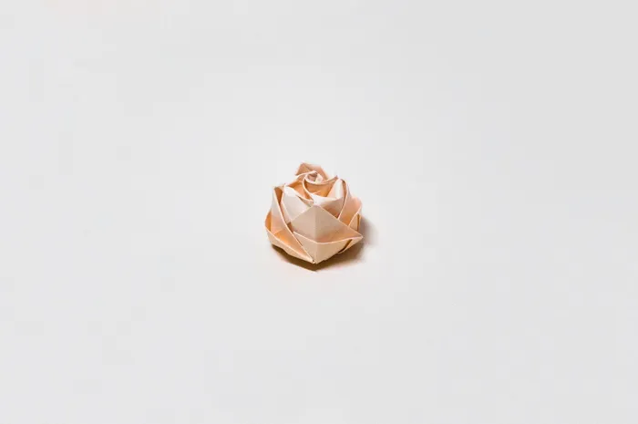 菲律宾，奎松城，花，纸，工作室拍摄，复制空间，室内，单一对象