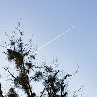 波兰，沃克罗瓦夫，冬天，天空，飞机，树，无云，广场