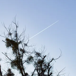 波兰，沃克罗瓦夫，冬天，天空，飞机，树，无云，广场