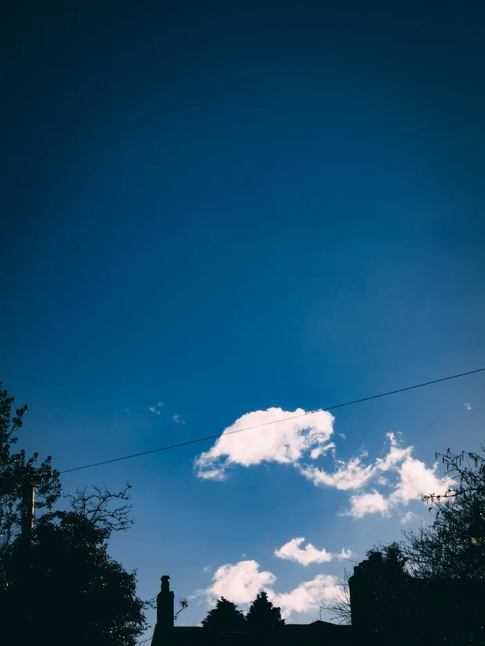 天空，树木，低角度视图，云天，植物，蓝色，自然，电缆
