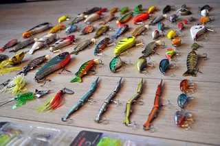 特写照片, 各种颜色的鱼, 诱惑, 很多, 棕色, 木, 表面, 钓鱼