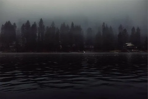 身体,水,树,黑,雾,湖,码头,房子 身体,水,树,黑,雾,湖,码头,房子