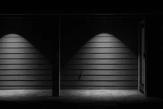 灯光、单色、黑暗、夜晚、树林、墙壁、聚光灯、建筑