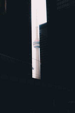 东方，明珠大厦，建筑，黑暗，建筑，基础设施，天空，摩天楼