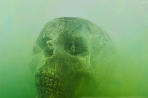 头骨，干燥的头，骷髅，死亡，死亡，骨头，黑色，骨头