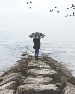 在水体附近持伞者的照片