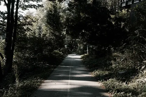 灰色、混凝土、道路、四周、绿叶、树木、绿色、植物 灰色、混凝土、道路、四周、绿叶、树木、绿色、植物