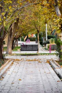 伊朗,德黑兰,伊朗艺术家论坛,艺术家公园,秋天,秋天,人行道,座位 伊朗,德黑兰,伊朗艺术家论坛,艺术家公园,秋天,秋天,人行道,座位