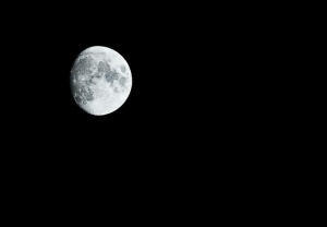 黑白、月亮、夜晚、天空、太空、天文学、自然之美、风景——自然