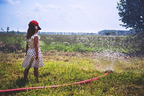 女孩、孩子、人、背部、玩耍、水、软管、洒水器 女孩、孩子、人、背部、玩耍、水、软管、洒水器