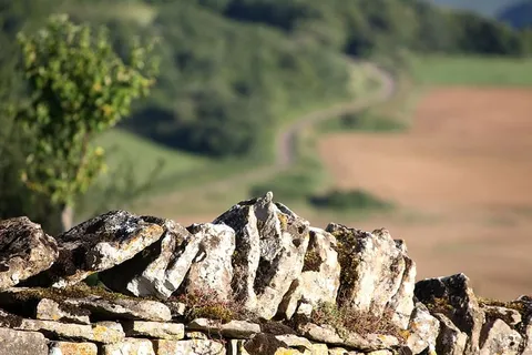 石墙，石头，勃艮第，干墙，户外，自然，田野，墙