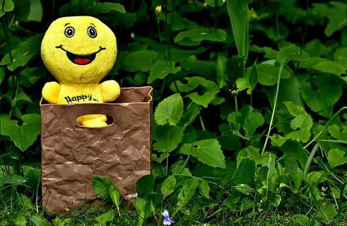 黄色、毛绒、玩具、棕色、篮子、草、特价商品、特价商品