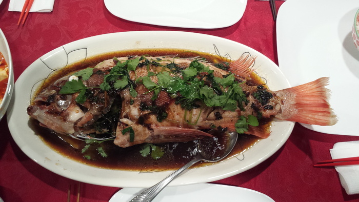 鱼，晚餐，中餐，清蒸，海鲜，美味，酱油，食物