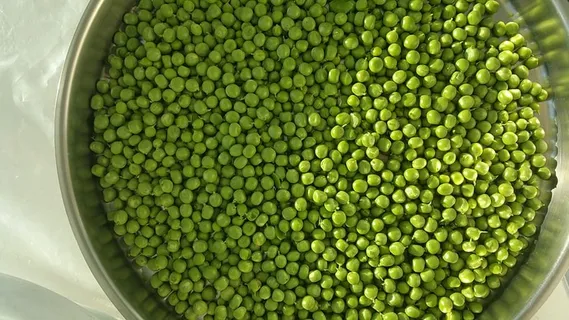 豆类、食品、豆类、蔬菜、豆类、绿色食品、豌豆、健康食品 豆类、食品、豆类、蔬菜、豆类、绿色食品、豌豆、健康食品
