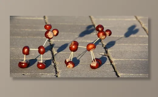 栗子动物，栗子，牙签，食品，食品和饮料，健康饮食，水果，白天