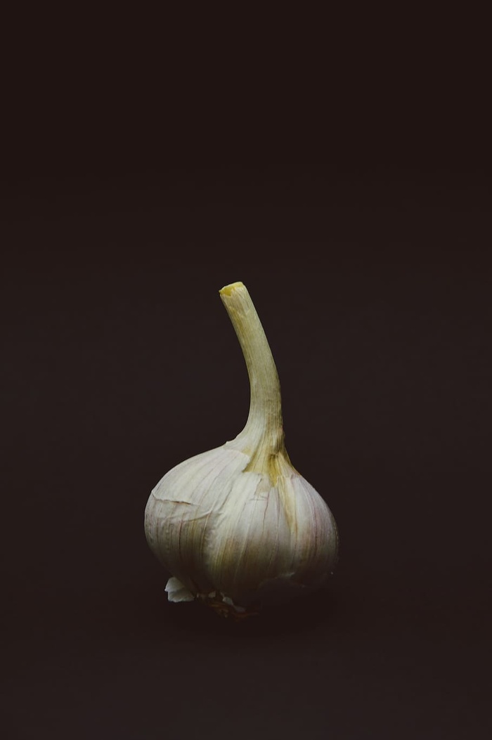 简单的大蒜
